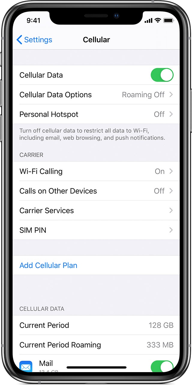 Turning on Cellular Data on iPhone