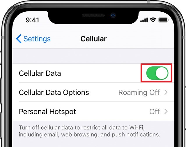 10 Ways to Fix iCloud is Greyed Out in Settings (2020) Saint
