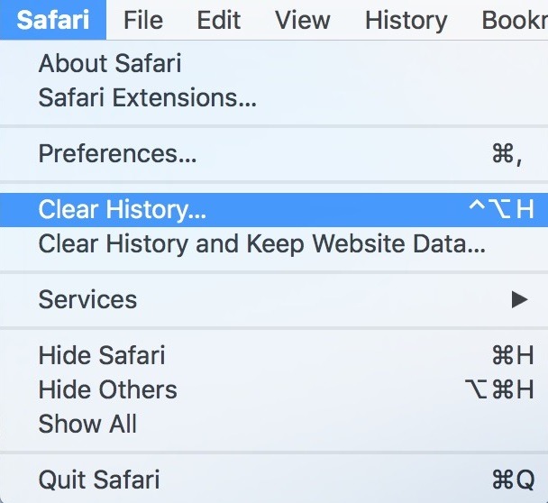 Clear Browsing Data Safari