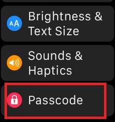 Apple Watch workout route not showing