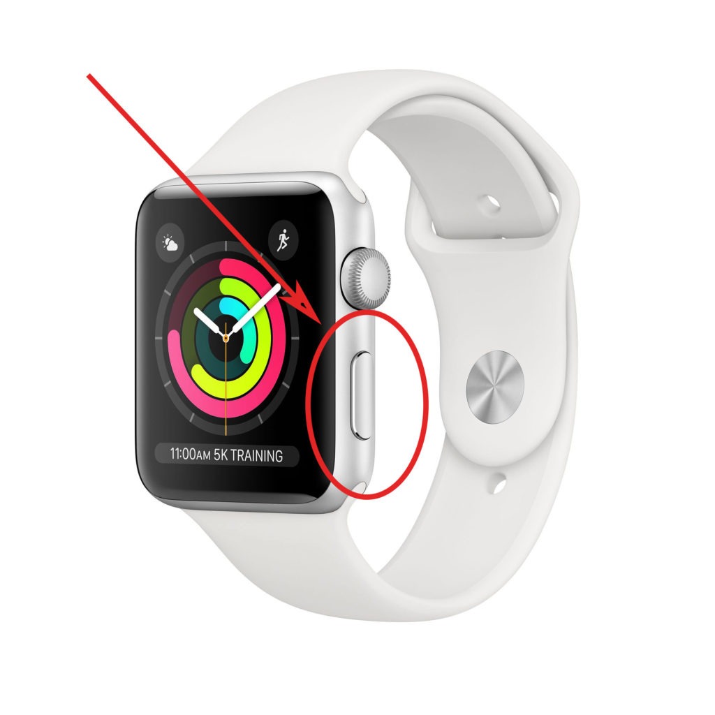 restart Apple Watch