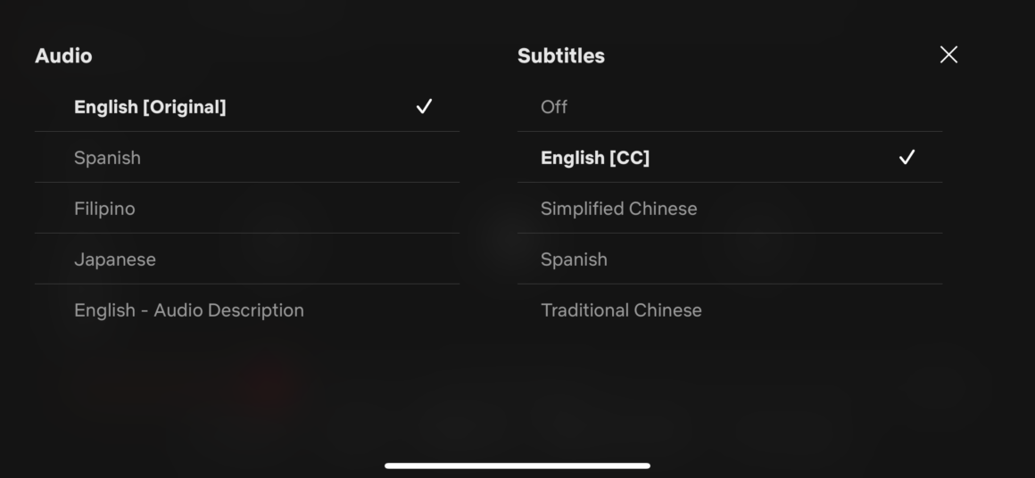 12 Ways to Fix Netflix Subtitles Not Working Saint