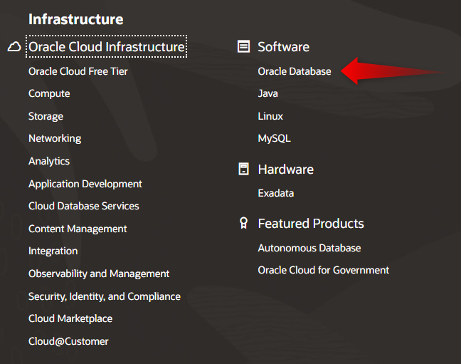 Software dropdown menu on the Oracle website for installing Oracle Database 19c on Windows 10