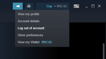 cannot download game updates on Steam
