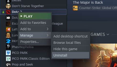 cant play installed games on Steam
