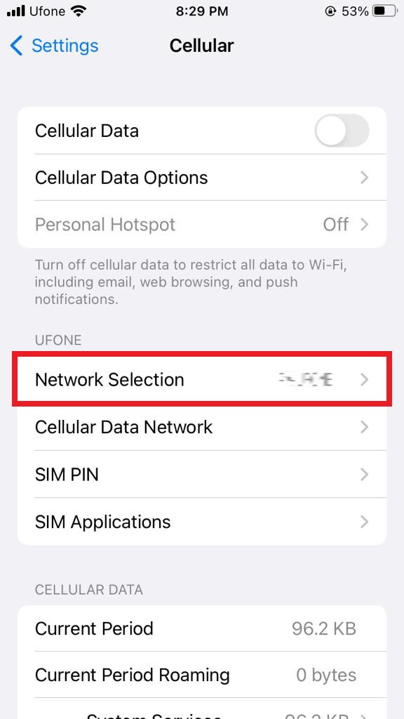Network Lost Error on iPhone
