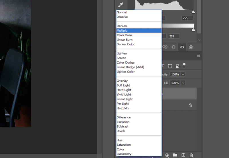 How to Fix Overexposed Photos in Adobe Saint