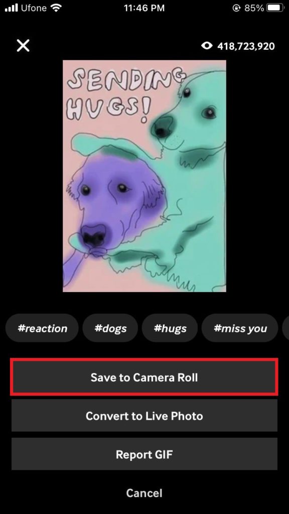 save GIPHY to Camera Roll