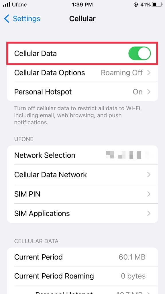 Cellular settings in iPhone settings