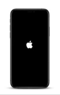 apple logo on iPhone