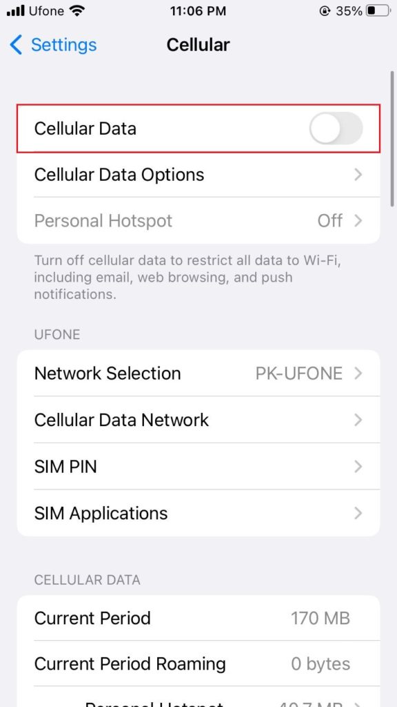 cellular data setting