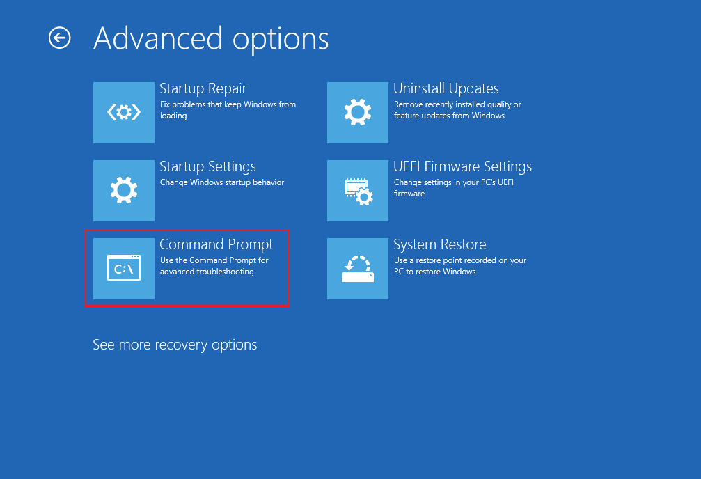 Command Prompt in Advanced options