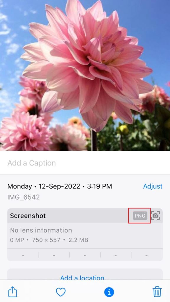 image format on iPhone