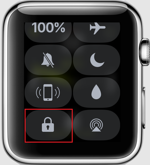 lock icon Apple Watch