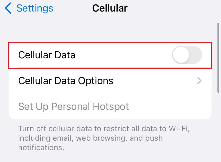 cellular data in iphone settings