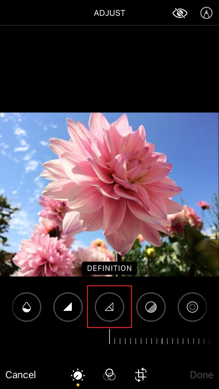 6 Ways to Make a Picture Clearer on iPhone Saint