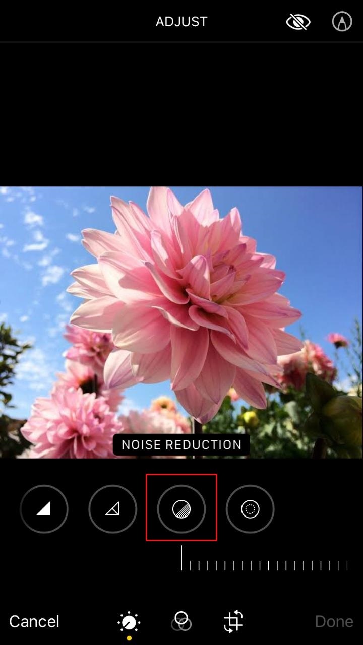 6 Ways to Make a Picture Clearer on iPhone Saint