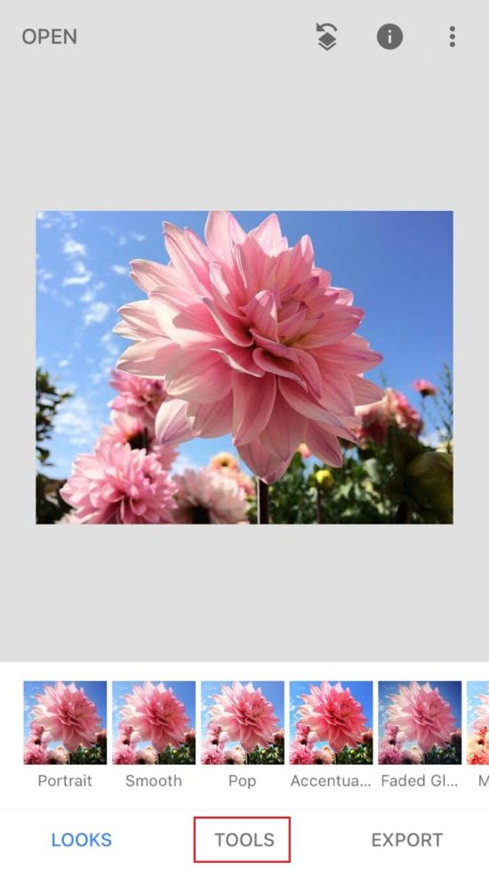 6 Ways to Make a Picture Clearer on iPhone Saint