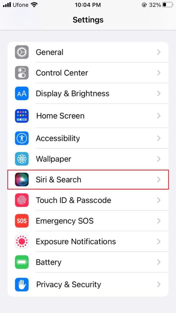 Siri & Search iPhone