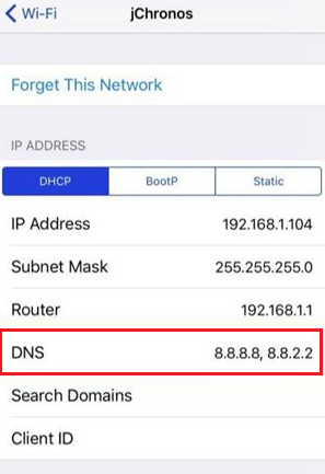 DNS in wi-fi setting iphone