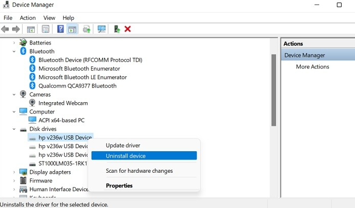 disk drivers in device manager