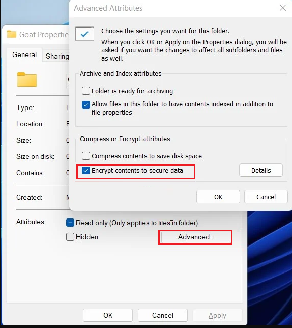 advanced drive properties on Windows 11