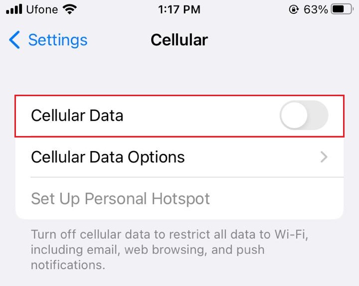 cellular setting on iphone