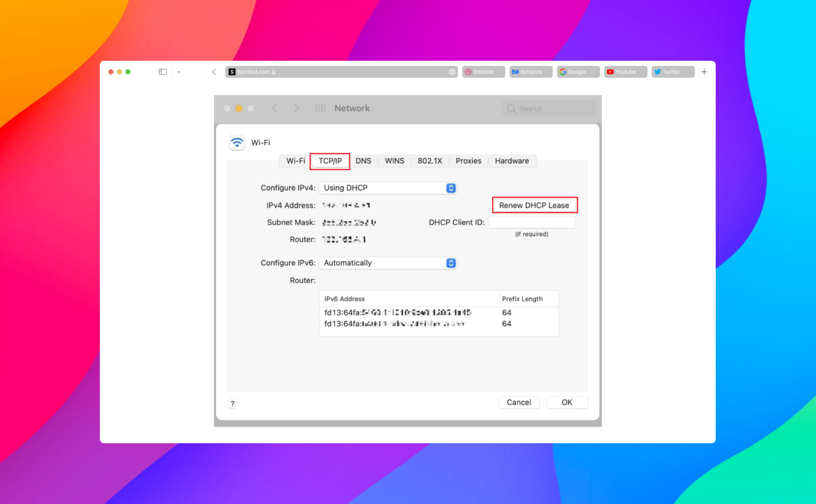 How to Fix Self Assigned IP Address Error on Mac Saint