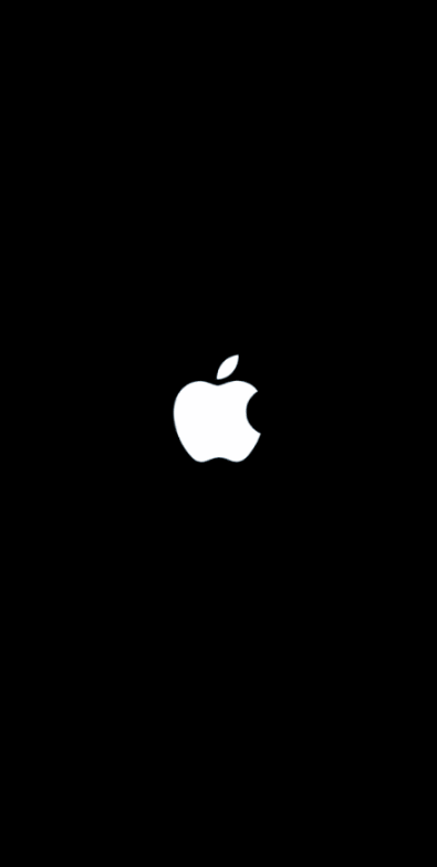 Apple logo screen