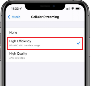 Reduce Data Usage by Apple Music on iPhone