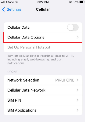 Cellular Data Options iPhone