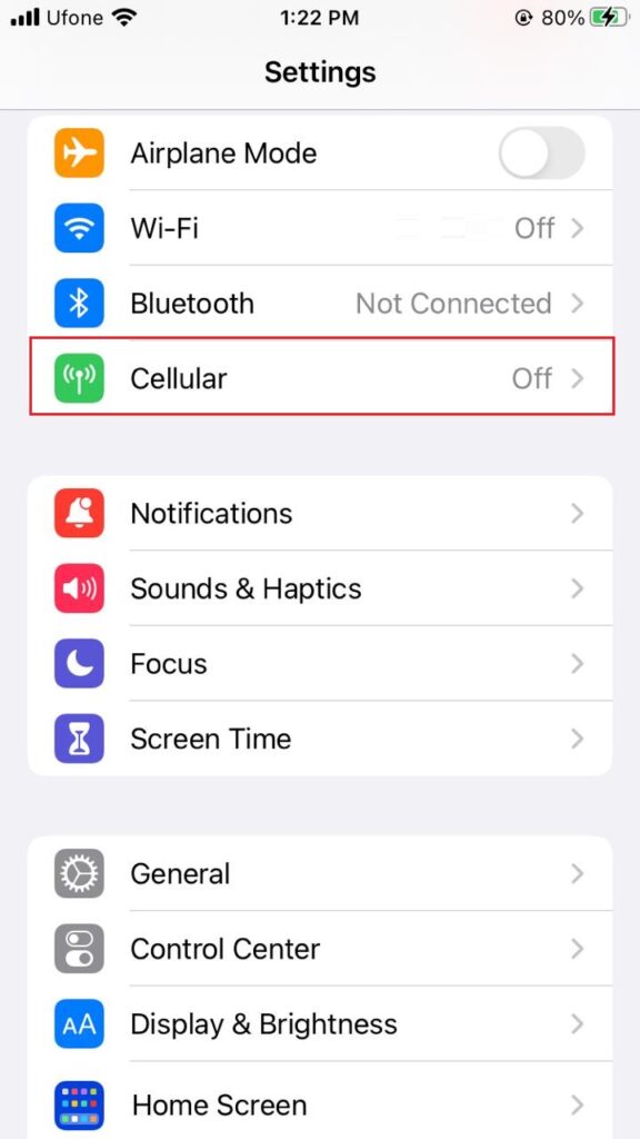 iPhone Cellular settings