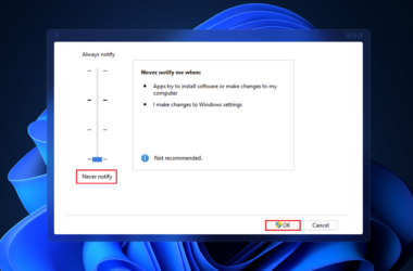 Exception Access Violation Error on Windows 11