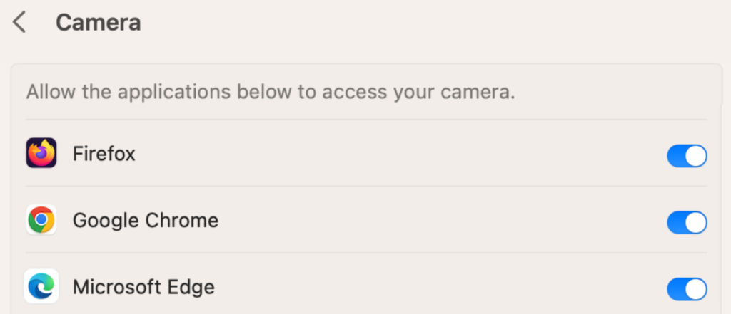 Camera Not Working in Google Meet on Mac