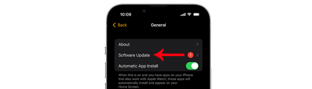 auto-launch audio apps not working on apple watch